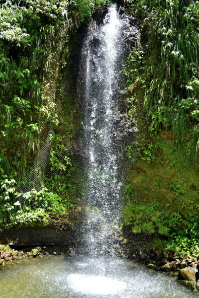 Toraille Waterfalls near Soufrière, Saint Lucia - Encircle Photos