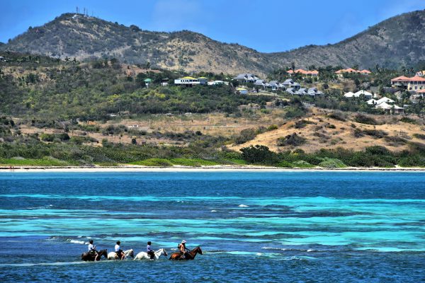 Horseback Riding Along Le Galion Beach in Saint-Martin - Encircle Photos