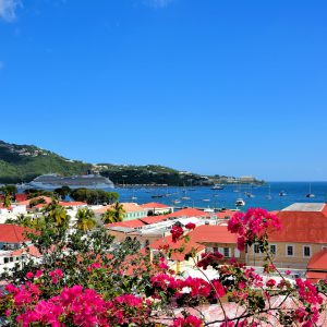 Red Roofs and Blue Harbor of Charlotte Amalie, Saint Thomas - Encircle Photos