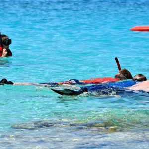 People Snorkeling at Coki Bay on the Northside, Saint Thomas - Encircle Photos