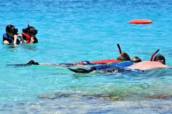 People Snorkeling at Coki Bay on the Northside, Saint Thomas - Encircle Photos