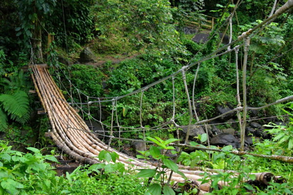 Bamboo Footbridge at Dark View Falls in Chateaubelair, Saint Vincent - Encircle Photos
