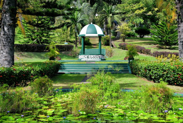 Gazebo at Botanical Gardens in Kingstown, Saint Vincent - Encircle Photos