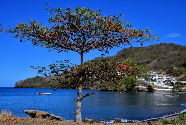 Waterfront of Layou Bay in Layou, Saint Vincent - Encircle Photos