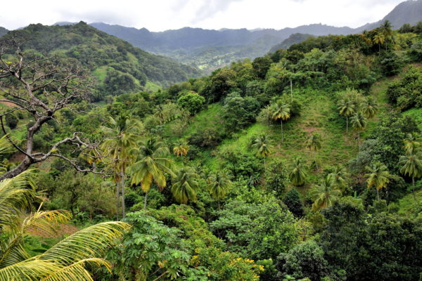 Mountain Ridges and Valleys in St. Patrick Parish, Saint Vincent - Encircle Photos