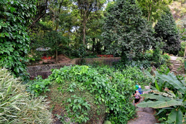 Garden at Wallilabou Heritage Park in Wallilabou, Saint Vincent - Encircle Photos