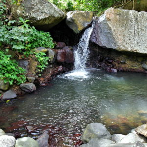 Waterfall at Wallilabou Heritage Park in Wallilabou, Saint Vincent - Encircle Photos