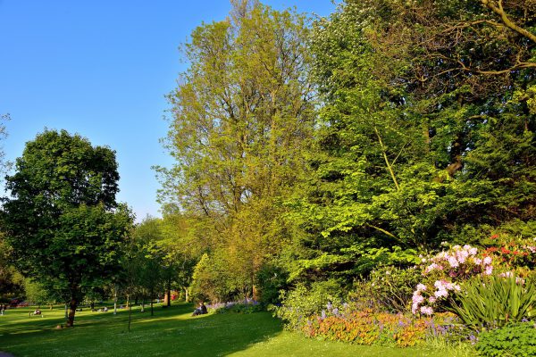 Princes Street Gardens in Edinburgh, Scotland - Encircle Photos