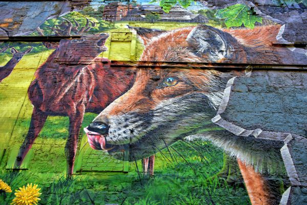 Fellow Glasgow Residents Wildlife Mural in Glasgow, Scotland - Encircle Photos
