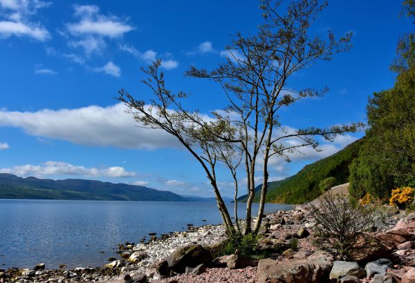 Legends of Loch Ness in Scottish Highlands, Scotland - Encircle Photos