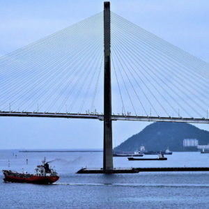 Busan Harbor Bridge in Busan, South Korea - Encircle Photos