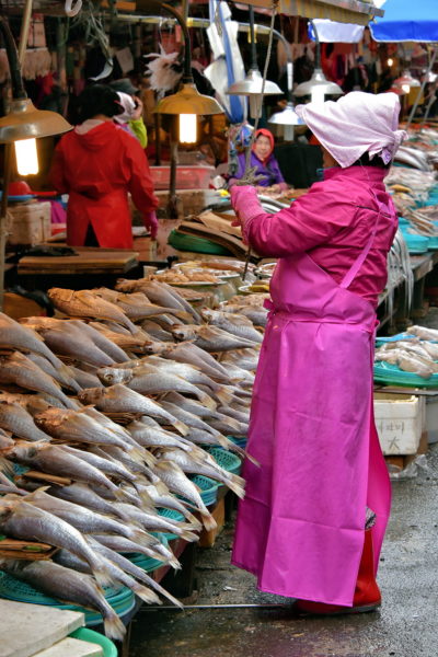 Ajumas at Jagalchi Fish Market in Busan, South Korea - Encircle Photos