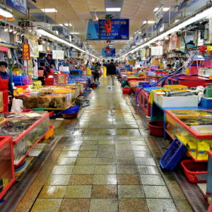 Inside of Jagalchi Fish Market in Busan, South Korea - Encircle Photos