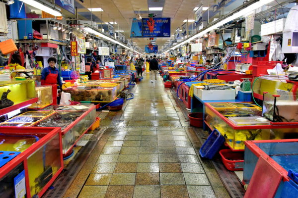 Inside of Jagalchi Fish Market in Busan, South Korea - Encircle Photos