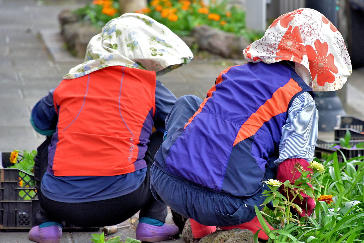 Culture of Jeju City, South Korea - Encircle Photos