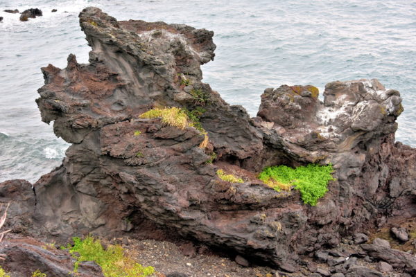 Dragon Head Rock in Jeju City, South Korea - Encircle Photos