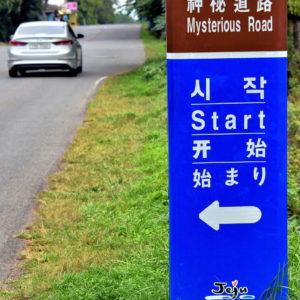 Mysterious Road in Jeju City, South Korea - Encircle Photos