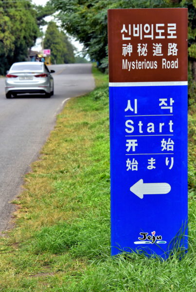 Mysterious Road in Jeju City, South Korea - Encircle Photos