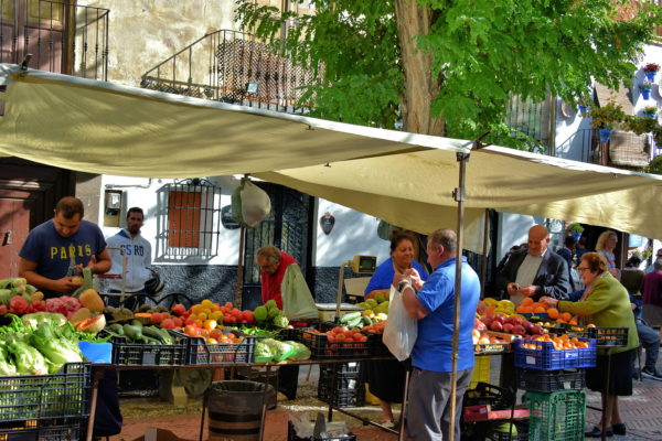Outdoor Market at Plaza Larga in Albaicín District of Granada, Spain - Encircle Photos