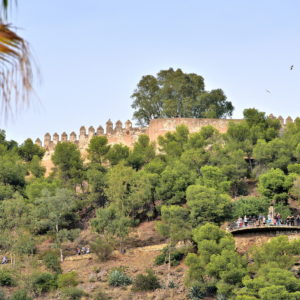 Gibralfaro Castle in Málaga, Spain - Encircle Photos