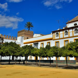 Patio de Banderas next to Real Alcázar in Seville, Spain - Encircle Photos
