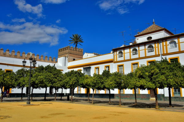 Patio de Banderas next to Real Alcázar in Seville, Spain - Encircle Photos