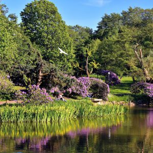 Näckrosdammen at Renström Park in Gothenburg, Sweden - Encircle Photos
