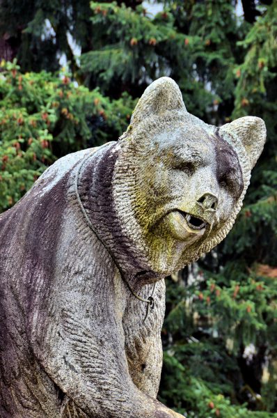 Bear Statue at Bernisches Historisches Museum in Bern, Switzerland - Encircle Photos