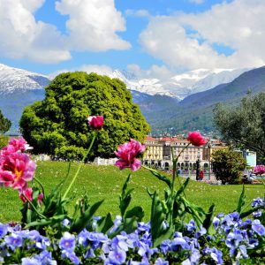 Flowers and Snow-capped Alps in Lugano, Switzerland - Encircle Photos