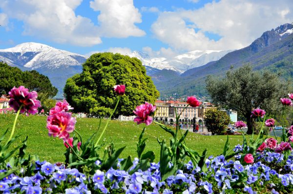 Flowers and Snow-capped Alps in Lugano, Switzerland - Encircle Photos