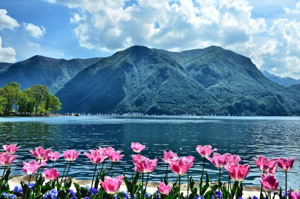 Sailboat Regatta on Lake Lugano in Lugano, Switzerland - Encircle Photos