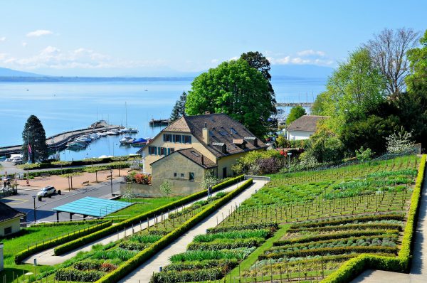 Terraced Garden, Harbor, and Lake Geneva in Nyon, Switzerland - Encircle Photos