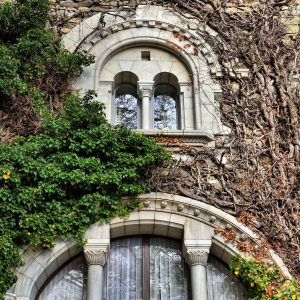Château d’Ouchy Vine-covered Windows in Ouchy, Switzerland - Encircle Photos