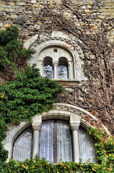 Château d’Ouchy Vine-covered Windows in Ouchy, Switzerland - Encircle Photos