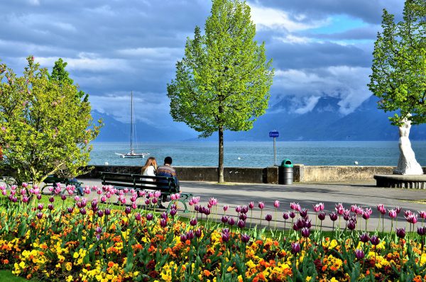 Romantic Couple with Tulips along Lake Geneva in Ouchy, Switzerland - Encircle Photos