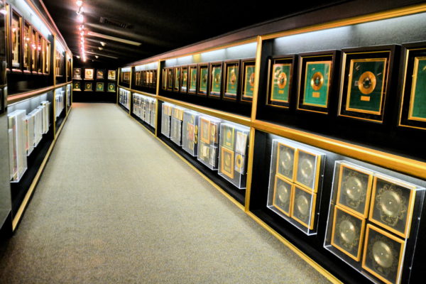 Hall of Gold in Graceland Mansion in Memphis, Tennessee - Encircle Photos