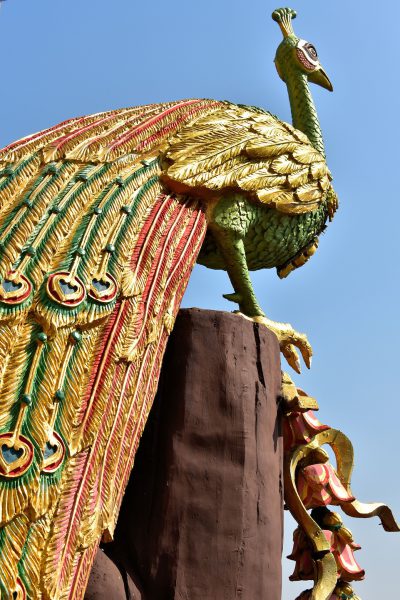 Peacock Statue Symbolizes Wisdom in Bangkok, Thailand - Encircle Photos
