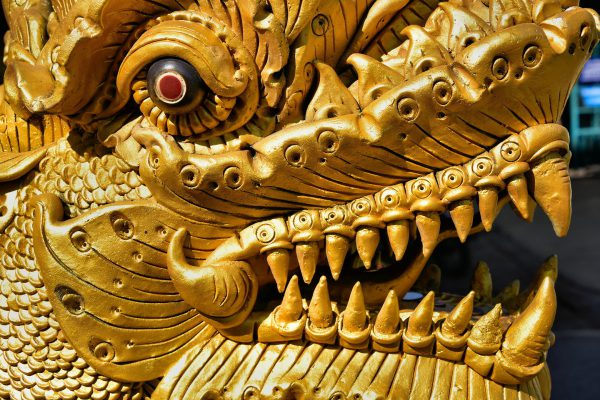 Nāga Extreme Close Up at Wat Chiang Man in Chiang Mai, Thailand - Encircle Photos