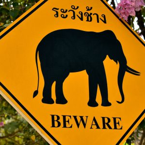 Elephant Crossing Sign in Hang Chat, Thailand - Encircle Photos