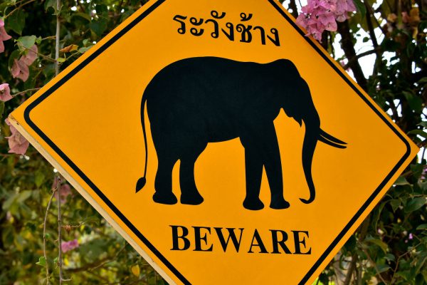Elephant Crossing Sign in Hang Chat, Thailand - Encircle Photos
