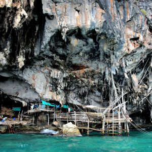 Bird’s Nest Cave on Phi Phi Ley, Thailand - Encircle Photos