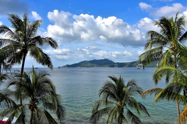 Patong Bay Surrounded by Palm Trees in Phuket, Thailand - Encircle Photos
