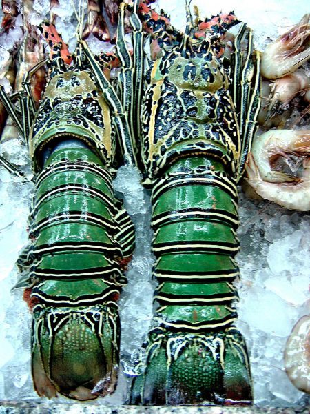 Phuket Lobsters on Ice at Patong Restaurant in Phuket, Thailand - Encircle Photos