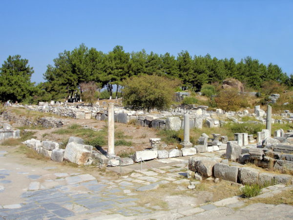 Vedius Gymnasium in Ephesus, Turkey - Encircle Photos