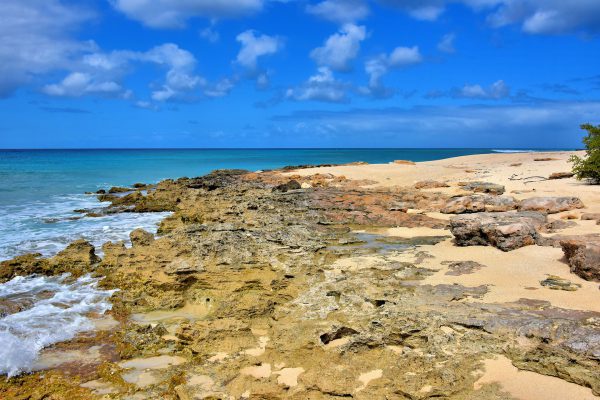 Rugged Shoreline at English Point in Grand Turk, Turks and Caicos Islands - Encircle Photos