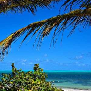 Windward Coast of Grand Turk, Turks and Caicos Islands - Encircle Photos