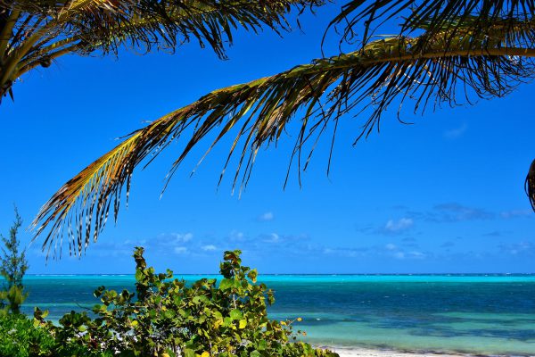 Windward Coast of Grand Turk, Turks and Caicos Islands - Encircle Photos