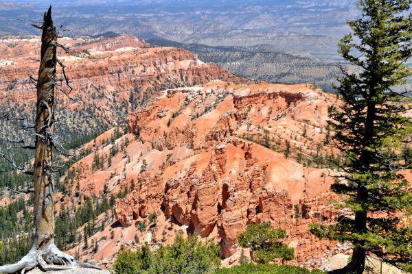 Bryce Amphitheater from Bryce Point at Bryce Canyon, Utah - Encircle Photos