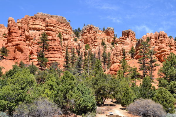 Dixie National Forest’s Red Canyon, Utah - Encircle Photos