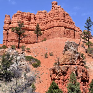 Plenty of Trails in Red Canyon, Utah - Encircle Photos